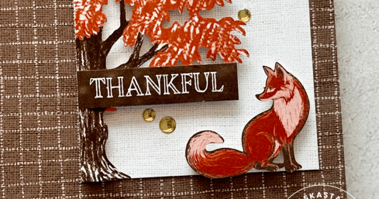 Around the World on Wednesday – November 2025