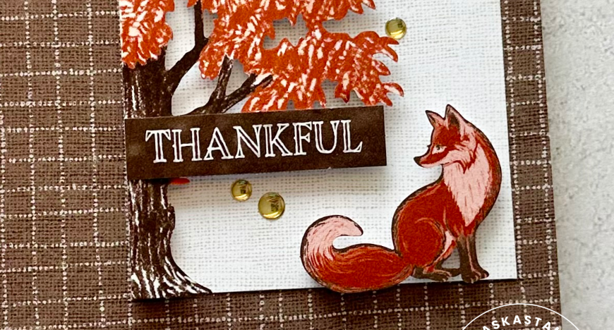 Around the World on Wednesday – November 2025